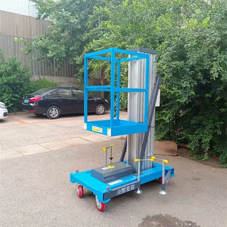 6m ascensors verticals de pal