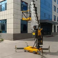 Home telescòpic vertical ascensor